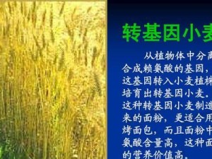 转基因植物的利与弊（探讨转基因植物对人类与环境的影响）