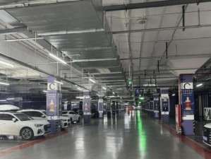 生命奇点（揭示生命奇点的关键）