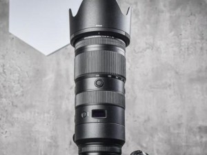 尼康55-200镜头的性能评测与使用经验（解密尼康55-200镜头的画质与焦距优势）