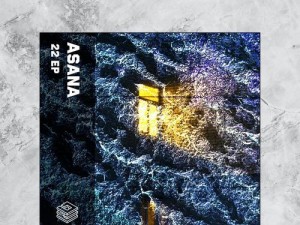 如何高效地使用Asana提升团队工作效率（优化工作流程，提升团队协作效能）