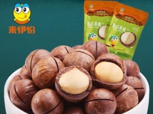 PS4与坚果G1S的连线效果全面分析（揭秘坚果G1S在PS4上的游戏性能及用户体验）