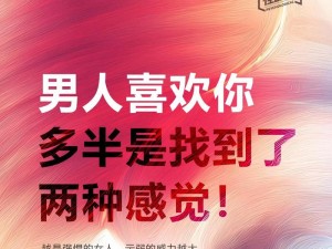 2015爱老公电池的性能与特点（为您解析2015爱老公电池的品质和使用体验）