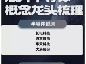 Broadcom（探索半导体巨头Broadcom的未来发展和市场机遇）