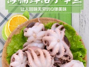海信小章鱼手机消费评测（探究海信小章鱼手机的用户消费体验和产品质量）
