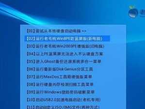 老毛桃（轻松实现开机自动进入老毛桃的方法）