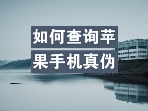 辨别手机真假的技巧与方法（如何鉴别手机的真伪及防范购买假货的技巧）