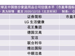 揭秘市盈率60（探寻市盈率60背后的投资奥秘）