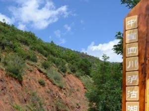 以马蜂窝定制游的卓越体验（马蜂窝定制游-为您打造独一无二的旅行体验）
