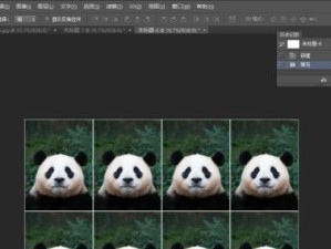 详解以ps证件照制作的基本步骤（用ps制作证件照的教程，轻松打造专业形象）