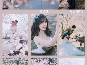 探索日本婚纱照的魅力（绽放的美丽与文化融合）