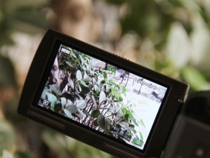 索尼HDRCX240E高清摄像机的功能与性能（深入了解索尼HDRCX240E的特点与使用体验）