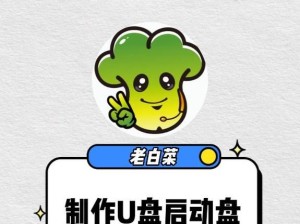 大白菜装U盘系统教程（教你如何利用大白菜轻松装载U盘系统）