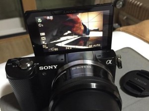 Sonya5000相机的功能与性能评测（一款实用轻便的入门级相机，拍摄更多美好瞬间）
