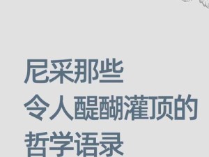 以尼采7plus手机的使用体验（一款性能卓越的智能手机）
