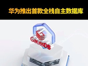 华为充电检技术成熟呵多少钱,速度与激情的完美结合