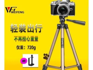 奥林巴斯EPL7（轻便易用、功能丰富、拍摄效果优秀）