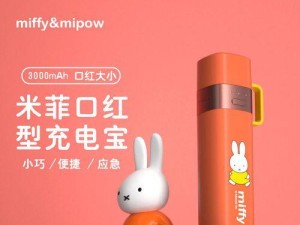 以沣标移动电源（高性能、便携、安全的移动电源解决方案）
