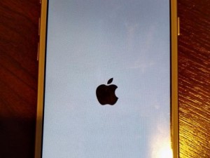 白苹果开不了机怎么办？苹果维修专家为您解决问题（解决苹果白苹果无法开机的方法和注意事项）