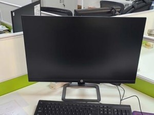 99主机（经济实惠的99主机方案满足您的所有需求）