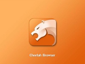 苹果电脑猎豹浏览器的强大功能与优势（高效的浏览体验和出色的安全性为用户带来无限便利）