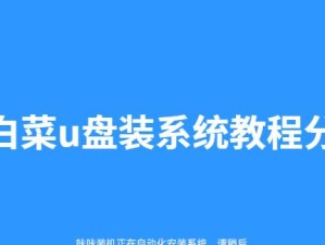 大白菜5.0u盘装系统教程（让你的电脑焕发新生命，尽在大白菜5.0u盘装系统）