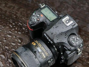 尼康D810高感表现如何？（解密尼康D810高感性能，揭秘其卓越影像表现力）