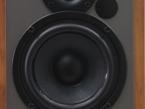 漫步者DSP（探索漫步者DSP的音频技术与设计理念）