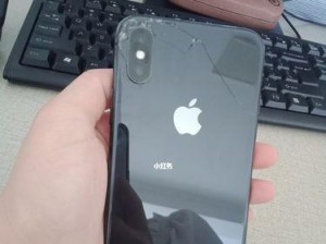 苹果X的屏幕材质如何？（探索苹果X屏幕材质的特点和优势）