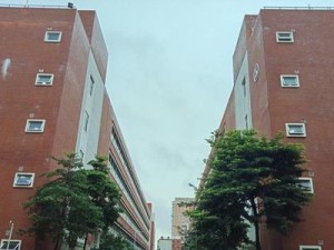 凯华龙华轴（一种突破性的创新技术的潜力与应用）