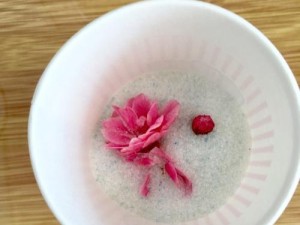 如何制作樱花标本（以简单的步骤保留樱花的美丽）