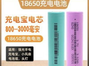 以品塞锂电池的优势和应用（提升电子产品性能的首选能源解决方案）