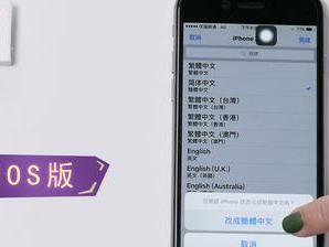 繁体字的美与传承（探寻繁体字之魅力）