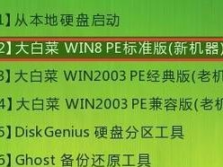 大白菜U盘PE系统教程（利用大白菜U盘PE系统，让你的电脑维护更加轻松）