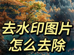 手机清理不留应迹怎么清理