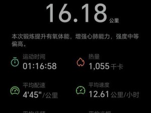 驾驶IS系列车辆在高速公路上的体验（高速行驶中IS车型的性能和舒适性如何？）