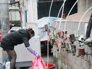 以至强X5355的强大性能及应用领域（探索以至强X5355处理器的性能表现和广泛应用）