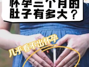 有没有孕妇考上公务员的，怀孕三个月了，如果考上会不会给通过？,怀孕准妈妈，公务员梦能实现吗