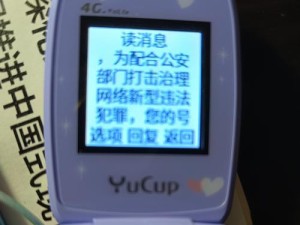 电信手机停机解析（了解电信手机停机的常见情况和处理方法）