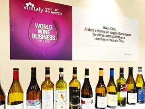 探索Wine9的性能和功能优势（Wine9带来的革新性变化及其关键特点）
