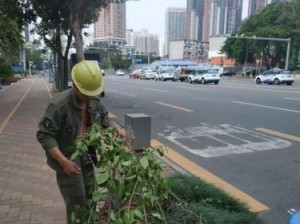 探索社区e服务项目的创新发展之路（数字化时代下，社区e服务项目助力社区发展的重要性与前景展望）