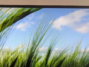 电脑蓝屏问题及AHCI的解决方案（深入了解蓝屏问题，理解AHCI的重要性）