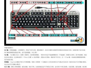探索蓝牙键盘（深入了解蓝牙键盘各个键的作用及用途）