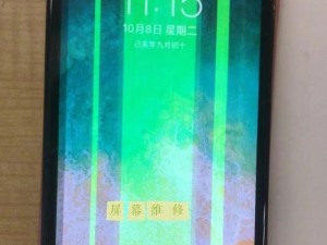 外出修苹果的利弊及影响（探讨修苹果外出的风险与机遇，以及对个人与环境的影响）