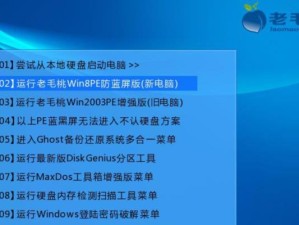 老毛桃系统盘制作教程（一步步教你制作老毛桃系统盘，轻松解决电脑问题）