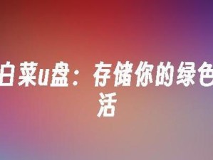 以U盘大白菜安装系统教程（详细步骤让你轻松操作）