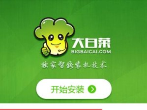 利用大白菜从U盘安装系统教程（简单易懂的U盘安装系统指南）