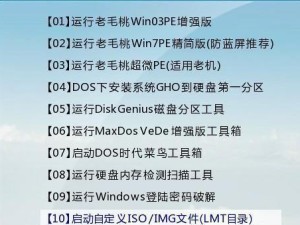 老毛桃U盘PE重装教程（轻松学会使用老毛桃U盘PE进行系统重装）