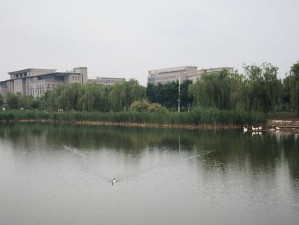 华为Mate10（华为Mate10）