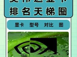 英伟达显卡质量最好的是哪款,电脑视觉的“魔法师”