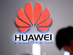 华为员工秉承创新精神，成就辉煌业绩（团结奋进、敬业奉献，华为员工是关键）